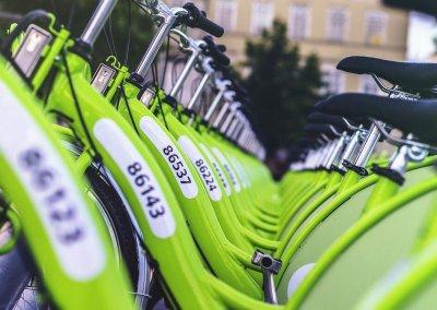Green Public Procurement